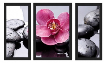  Триптих в багете Орхидея на камнях, ZD63-50x70-1045b фото в интернет-магазине