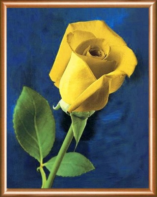  Репродукция в багете Желтая роза, 4471-3901-1032 фото в интернет-магазине