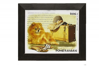  Репродукция в багете Собака, 30x25 фото в интернет-магазине