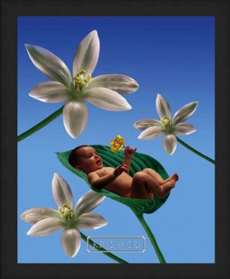 Репродукция в багете Малыш в цветке III, 7050-1045B фото в интернет-магазине