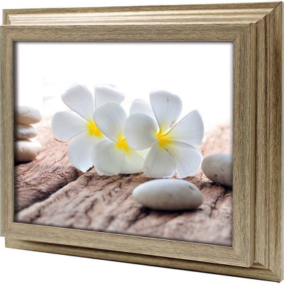  Ключница Белые франджипани, Антик, 20x25 см фото в интернет-магазине