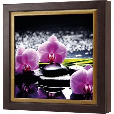  Ключница Базальт и пурпурный фаленопсис, Турмалин/Золото, 30x30 см фото в интернет-магазине