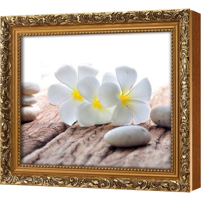 Ключница Белые франджипани, Цитрин, 20x25 см фото в интернет-магазине