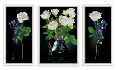  Триптих в багете Дикие розы K755-20151-9010 фото в интернет-магазине