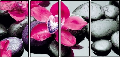  Модульная картина Яркие цветы на камнях, TZD58-2 фото в интернет-магазине